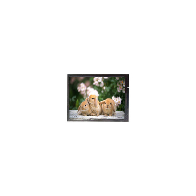 Καλή τιμή F050A12-601 5,0 ιντσών οθόνη οθόνης LCD για κινητό τηλέφωνο σε απευθείας σύνδεση