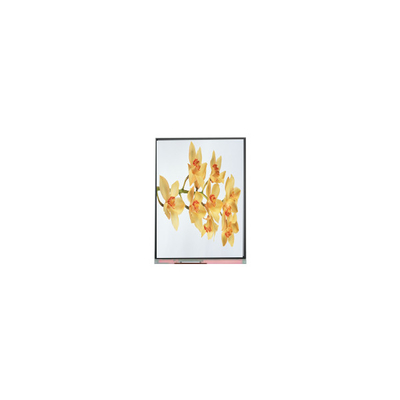 Καλή τιμή C060SWY2-1 6,0 ιντσών 480*854 TFT LCD οθόνη οθόνης σε απευθείας σύνδεση
