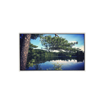 Καλή τιμή 21.5 ιντσών Αρχικό HM215WU3-501 TFT LCD Display Panel σε απευθείας σύνδεση