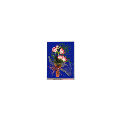 Καλή τιμή 5.4 ιντσών οθόνη LCD 540*960 C054SWN1-1 μονάδα οθόνης LCD σε απευθείας σύνδεση