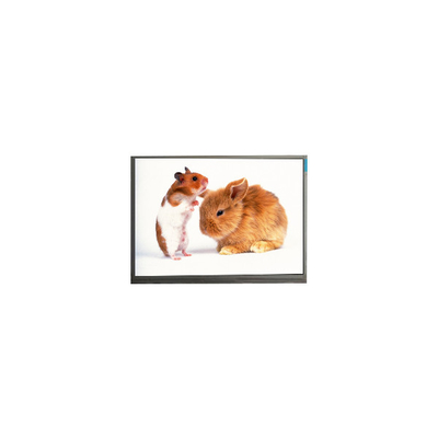 Καλή τιμή PJ061IC-01A 6,1 ιντσών οθόνη LCD 720*1280 οθόνη LCD σε απευθείας σύνδεση
