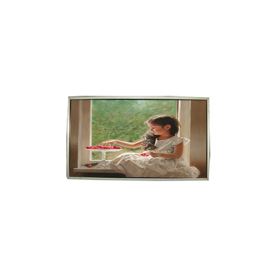 Καλή τιμή 23.0 ιντσών LTM230HT05-V 30 πιν 1920*1080 LCD οθόνης σε απευθείας σύνδεση