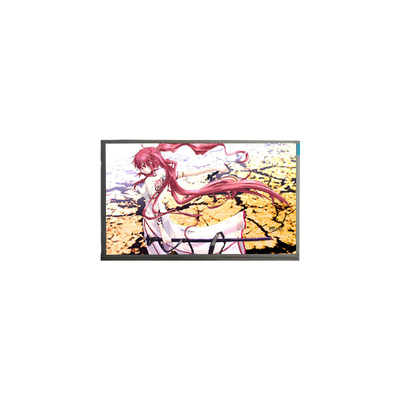 Καλή τιμή BT101IW01 V.0 10,1 ιντσών 1024*600 LVDS 60Hz οθόνη LCD σε απευθείας σύνδεση