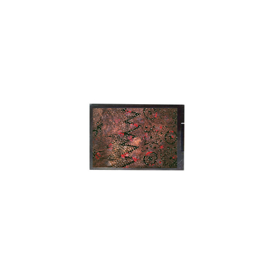 Καλή τιμή Οθόνη LCD 10,4 ιντσών 800*600 C0A411-01D σε απευθείας σύνδεση